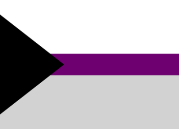 Demisexual Pride Flag: 3 horizontal stripes: Large white, narrow purple, large grey. Black triange on the right