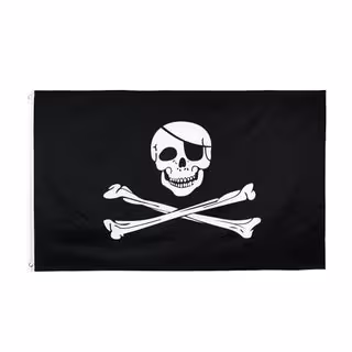 Pirate Flag - Skull and Crossbones