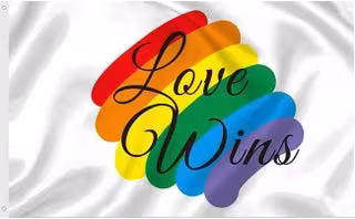 Love Wins with Rainbow splash on White Flag