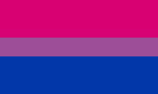 Bisexual Pride Flag: 3 horizontal stripes with the middle half as tall as the top and bottom. Pink, Purple, Blue
