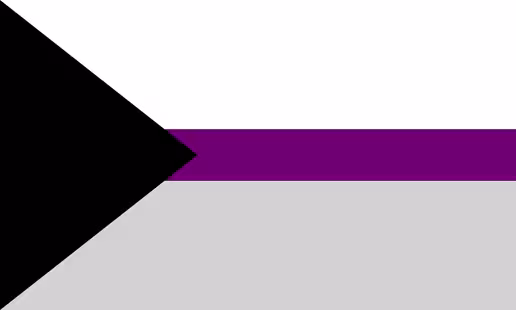 Demisexual Pride Flag: 3 horizontal stripes: Large white, narrow purple, large grey. Black triange on the right